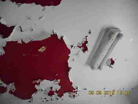 15779 Linden (37)_m.jpg